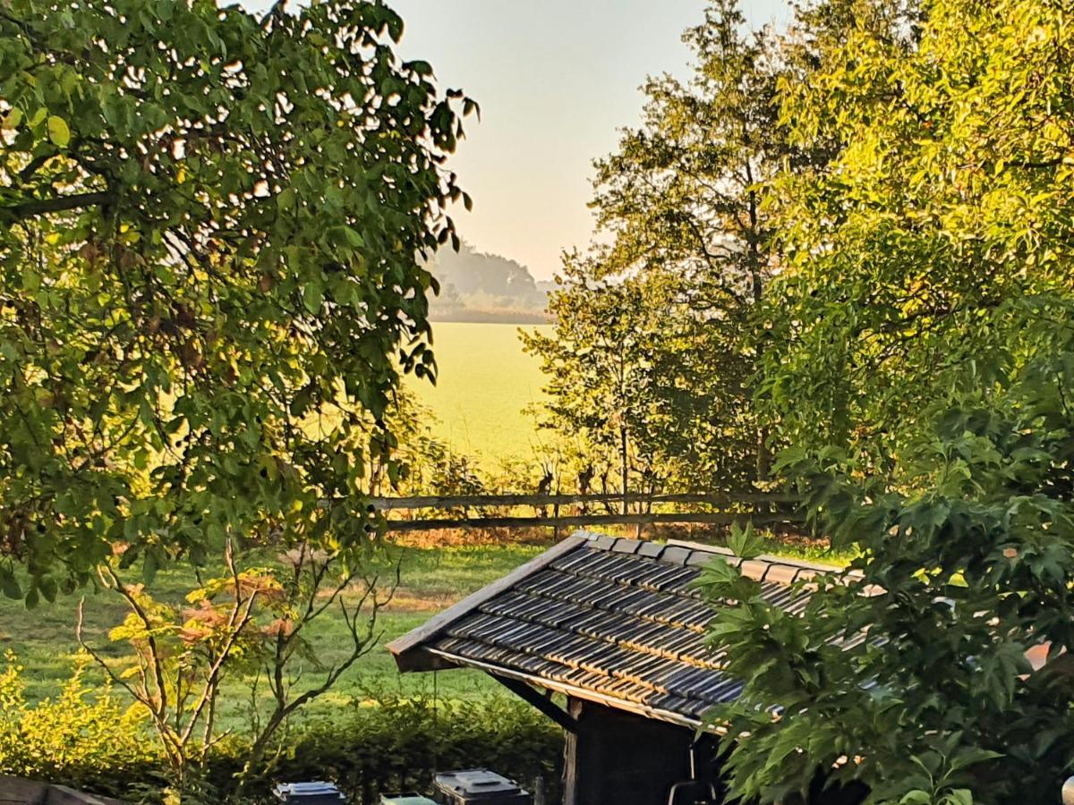 B&B De Nieuwenhof 'De Tuinkamer' Melderslo Exteriér fotografie